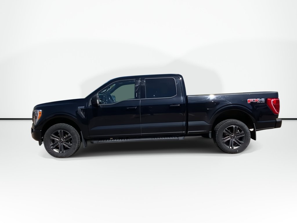2021 Ford F-150 UNKNOWN in Saint John, New Brunswick - 5 - w1024h768px