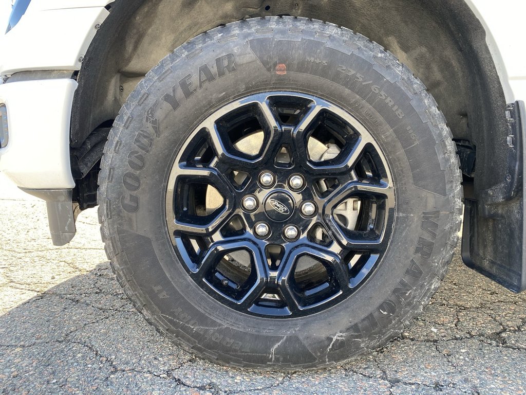 Ford F-150 XLT | 4WD | V8 | Warranty Until 2029 2024 à Saint John, Nouveau-Brunswick - 10 - w1024h768px
