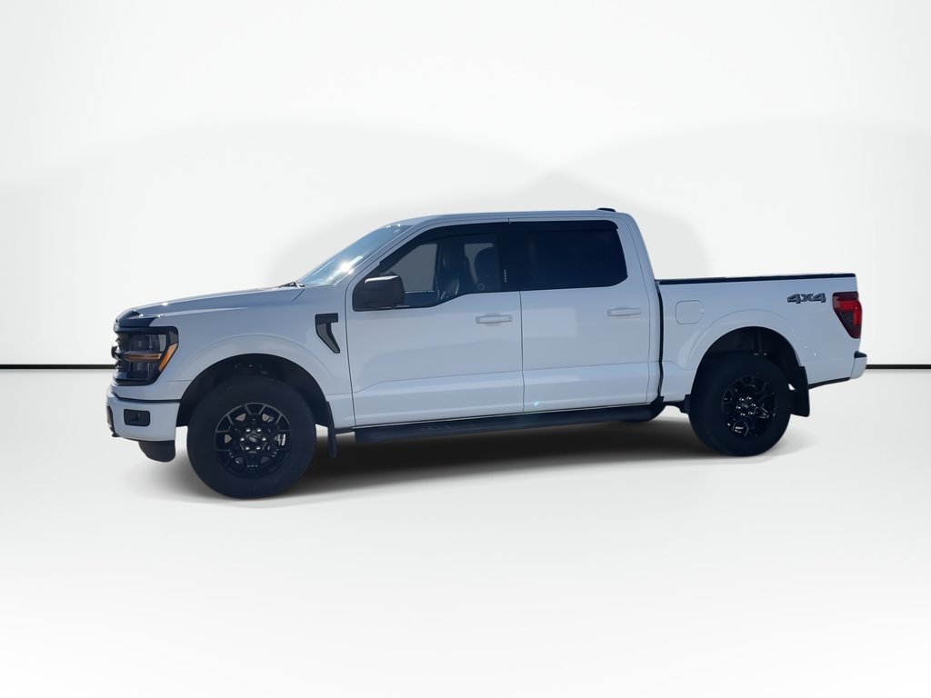 Ford F-150 XLT | 4WD | V8 | Warranty Until 2029 2024 à Saint John, Nouveau-Brunswick - 5 - w1024h768px