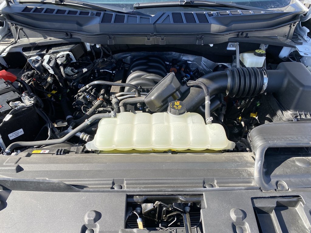 Ford F-150 XLT | 4WD | V8 | Warranty Until 2029 2024 à Saint John, Nouveau-Brunswick - 37 - w1024h768px