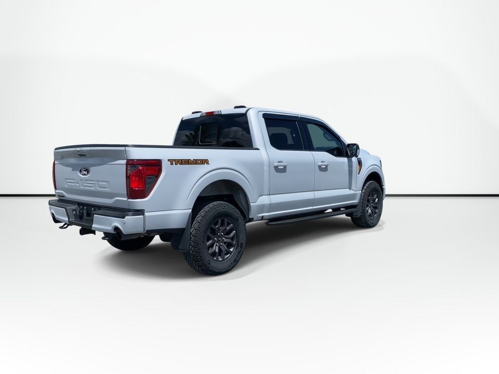 2025 Ford F-150 BASE in Saint John, New Brunswick - 8 - w1024h768px
