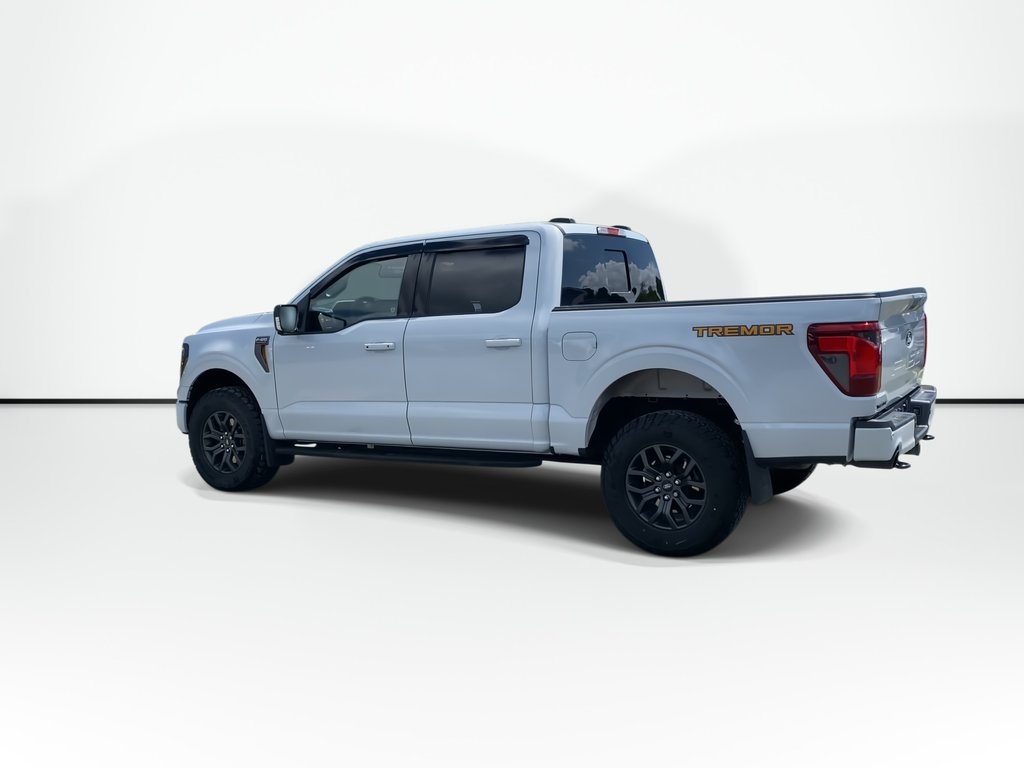 2025 Ford F-150 BASE in Saint John, New Brunswick - 6 - w1024h768px