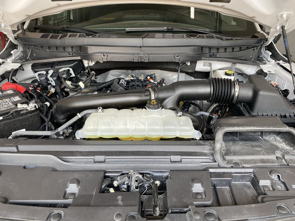 2025 Ford F-150 BASE in Saint John, New Brunswick - 38 - w1024h768px