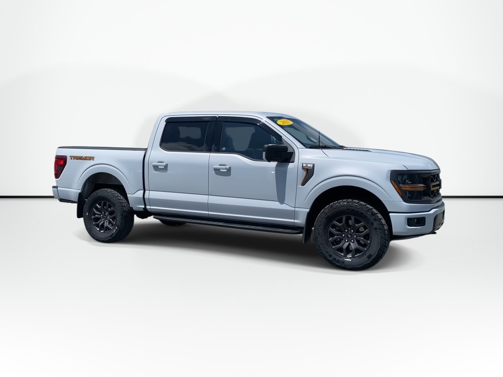 2025 Ford F-150 BASE in Saint John, New Brunswick - 2 - w1024h768px