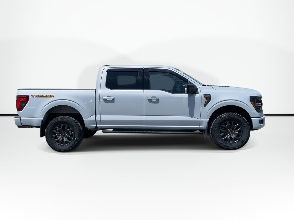 2025 Ford F-150 BASE in Saint John, New Brunswick - 9 - w1024h768px