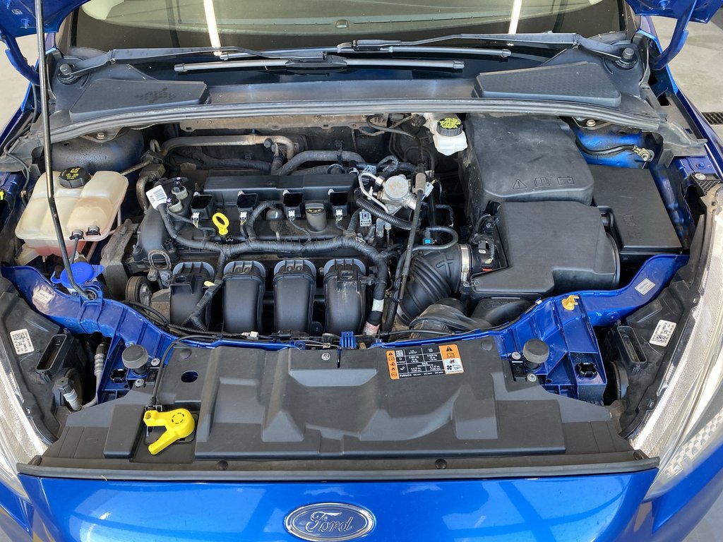 2018 Ford FOCUS SE | Htd Seats | Cruise | Cam | Bluetooth in Saint John, New Brunswick - 36 - w1024h768px