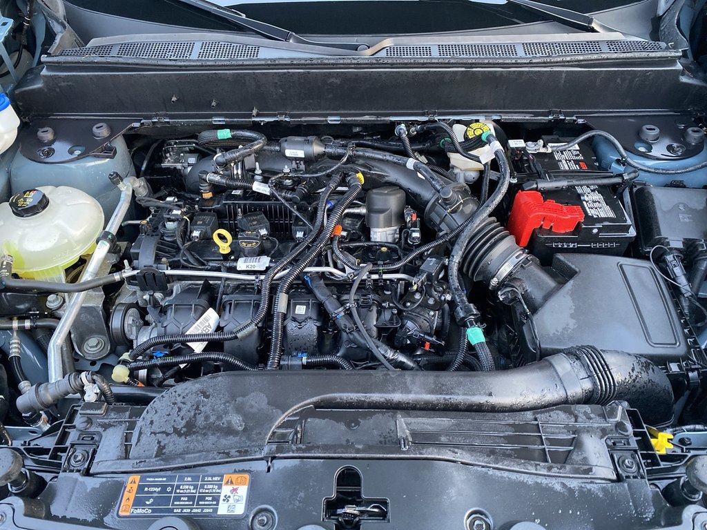 2023 Ford Maverick XLT | 4WD | A/T Tires | Two Sets Of Rims | Cam in Saint John, New Brunswick - 35 - w1024h768px