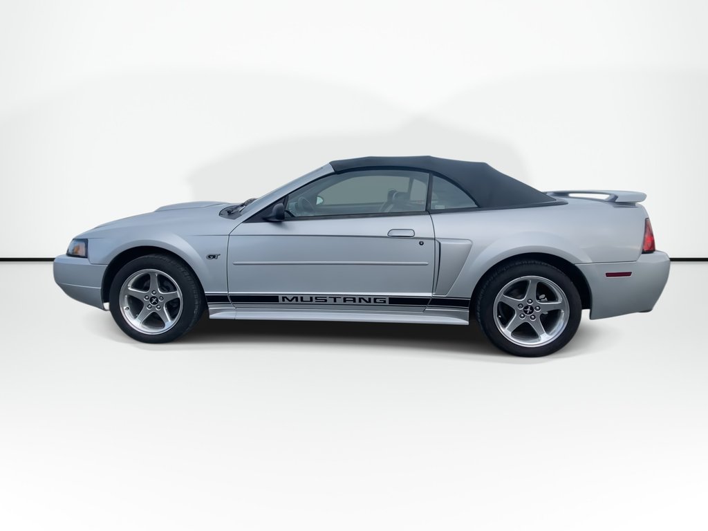 2003 Ford MUSTANG in Antigonish, Nova Scotia - 5 - w1024h768px