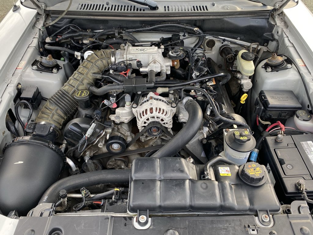 2003 Ford MUSTANG in Antigonish, Nova Scotia - 31 - w1024h768px