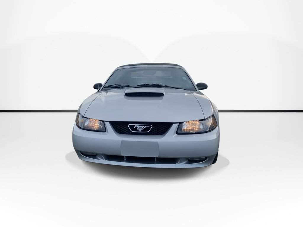 2003 Ford MUSTANG in Antigonish, Nova Scotia - 2 - w1024h768px