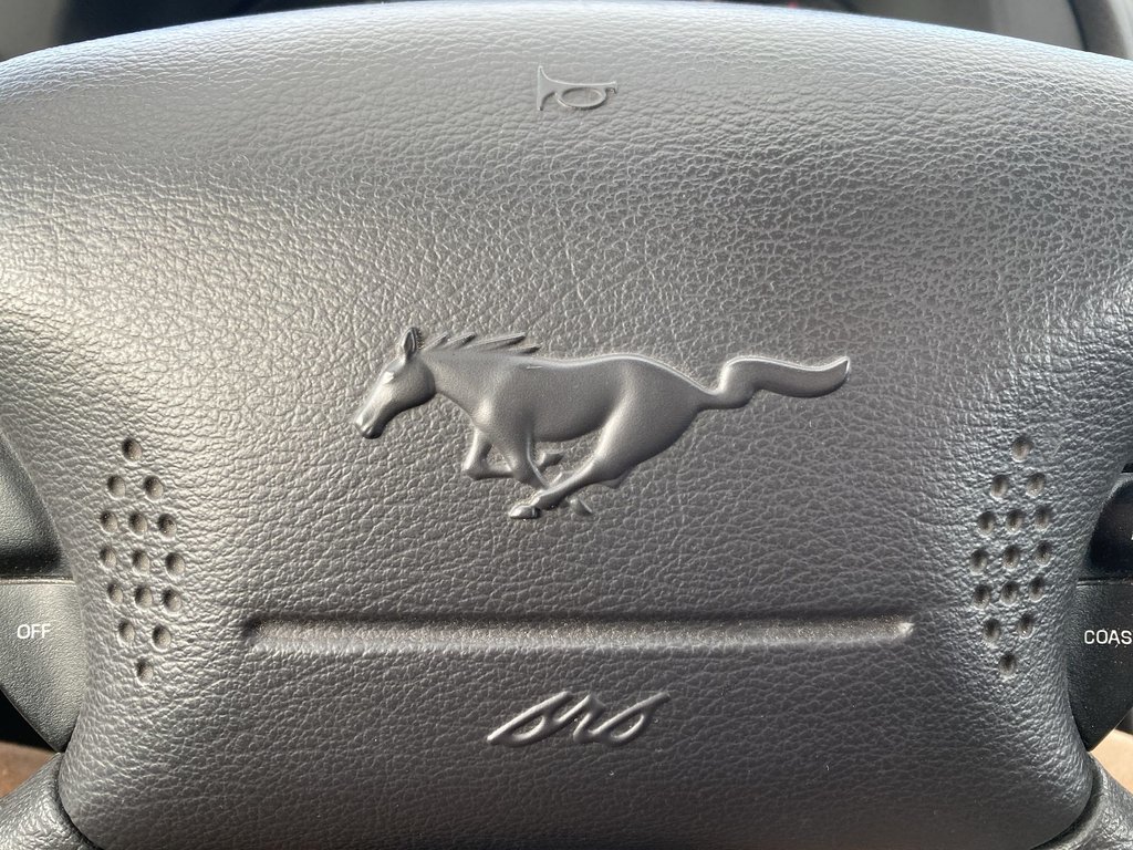 2003 Ford MUSTANG in Antigonish, Nova Scotia - 15 - w1024h768px