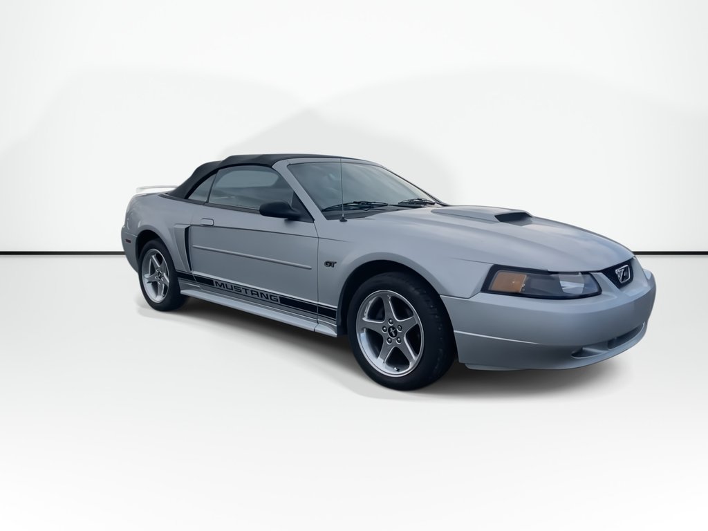 2003 Ford MUSTANG GT | Convertible | Leather | A/C | in Saint John, New Brunswick - 2 - w1024h768px