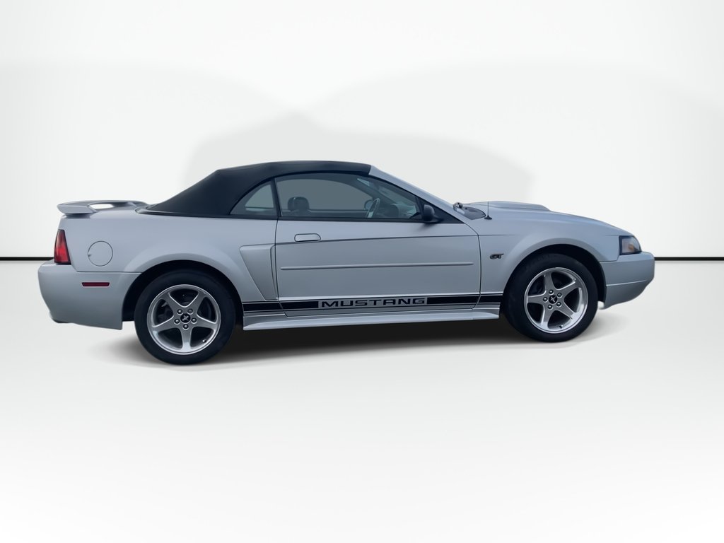 2003 Ford MUSTANG GT | Convertible | Leather | A/C | in Saint John, New Brunswick - 9 - w1024h768px