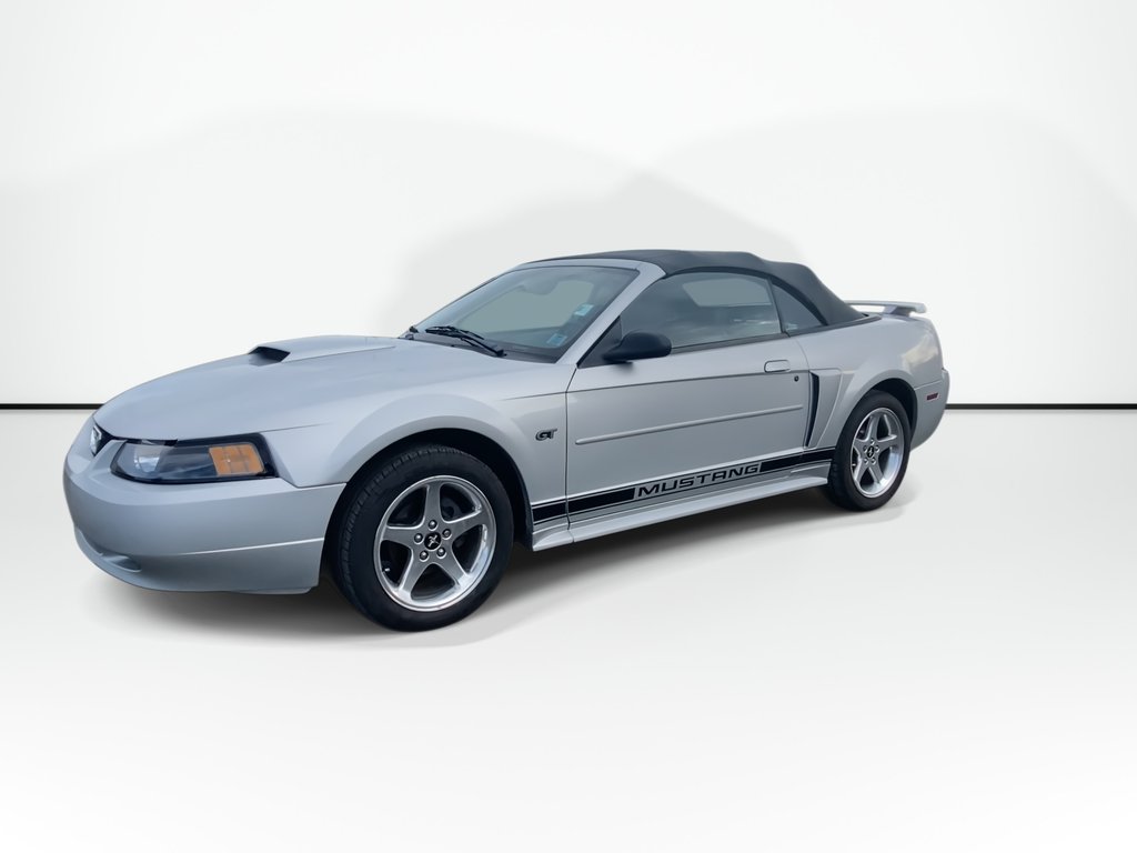 2003 Ford MUSTANG GT | Convertible | Leather | A/C | in Saint John, New Brunswick - 4 - w1024h768px