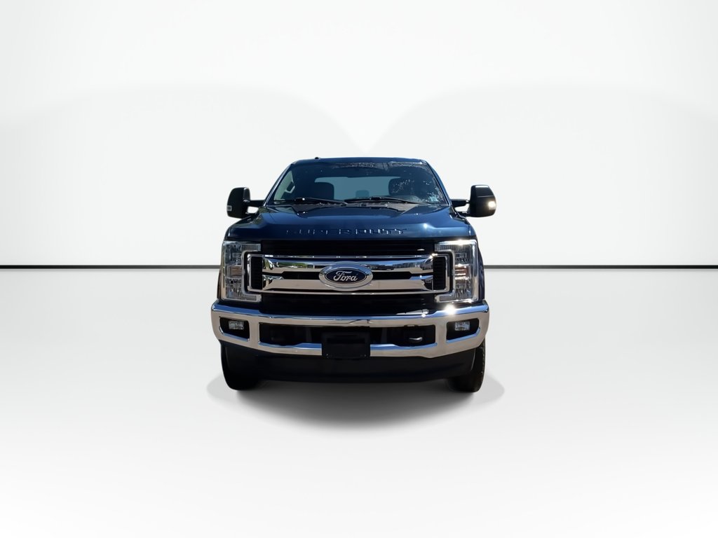 2019 Ford SUPER DUTY F-250 SRW XL in Saint John, New Brunswick - 3 - w1024h768px