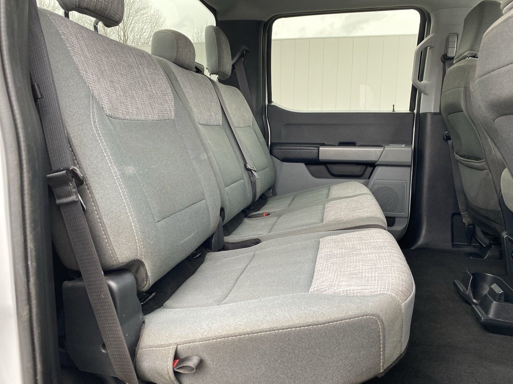 Ford SUPER DUTY F-250 SRW XLT | Diesel | 4WD | Cruise |Cam 2024 à Saint John, Nouveau-Brunswick - 31 - w1024h768px