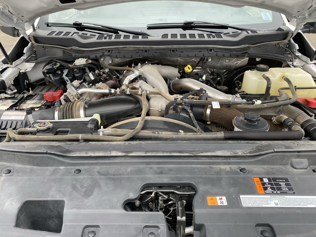 Ford SUPER DUTY F-250 SRW XLT | Diesel | 4WD | Cruise |Cam 2024 à Saint John, Nouveau-Brunswick - 38 - w1024h768px