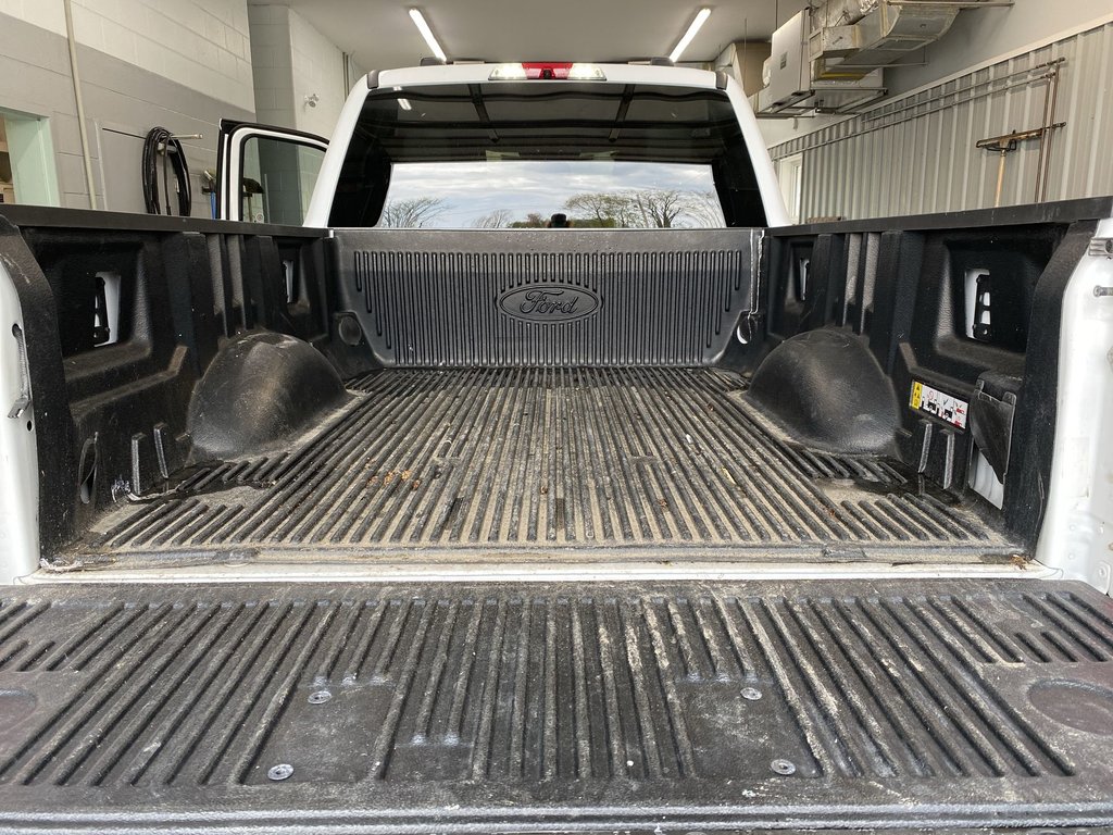 2024 Ford SUPER DUTY F-250 SRW XLT | 4WD | Warranty Until Oct 2029 in Saint John, New Brunswick - 30 - w1024h768px