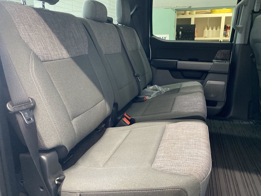 2024 Ford SUPER DUTY F-250 SRW XLT | 4WD | Warranty Until Oct 2029 in Saint John, New Brunswick - 31 - w1024h768px