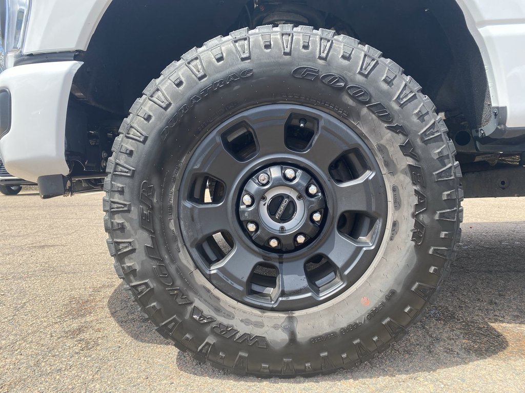 2024 Ford SUPER DUTY F-250 SRW in Antigonish, Nova Scotia - 10 - w1024h768px