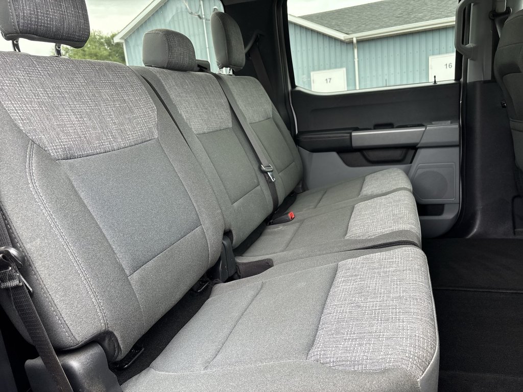 2024 Ford SUPER DUTY F-250 SRW XLT | Cam | USB | Bluetooth | Cruise in Saint John, New Brunswick - 31 - w1024h768px