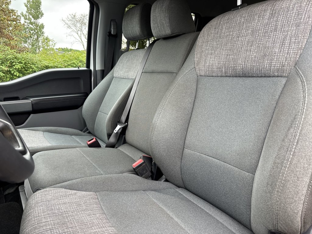 2024 Ford SUPER DUTY F-250 SRW XLT | Cam | USB | Bluetooth | Cruise in Saint John, New Brunswick - 11 - w1024h768px