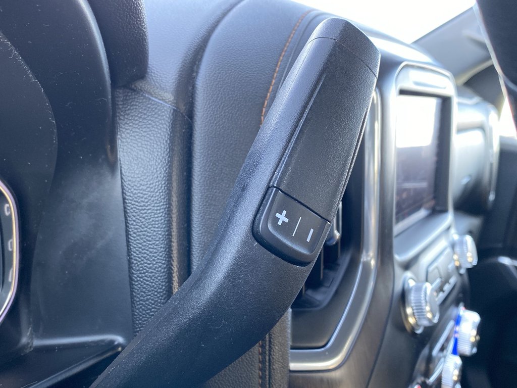 2020 GMC SIERRA 1500 AT4 in Saint John, New Brunswick - 25 - w1024h768px