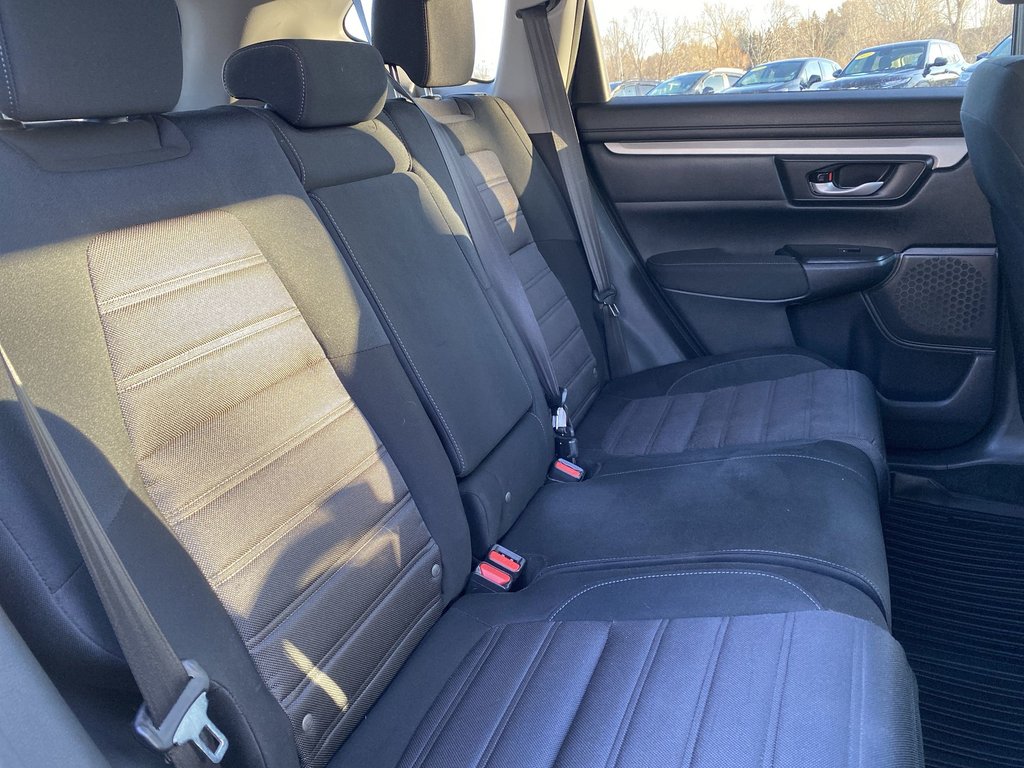 2020 Honda CR-V LX | Cam | USB | Bluetooth | Adp.Cruise | LaneAsst in Saint John, New Brunswick - 19 - w1024h768px