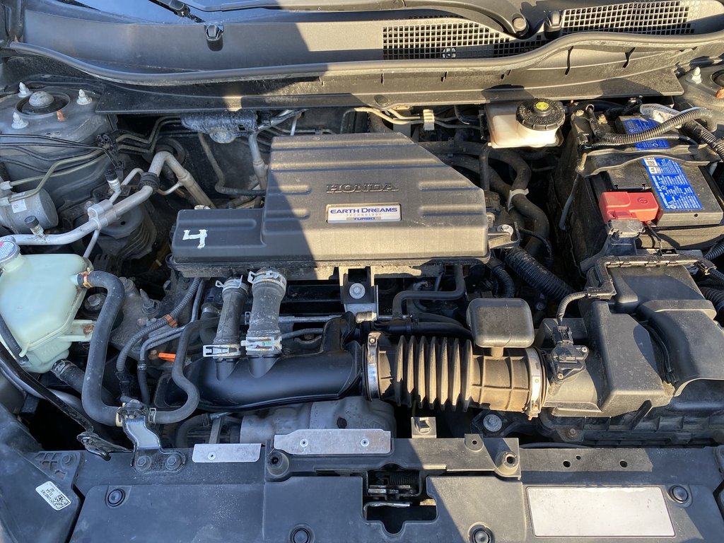 2020 Honda CR-V LX | Cam | USB | Bluetooth | Adp.Cruise | LaneAsst in Saint John, New Brunswick - 25 - w1024h768px