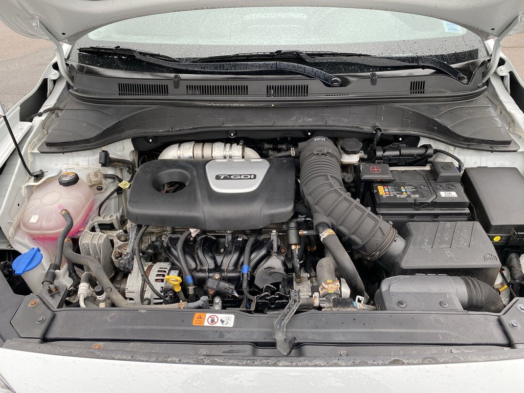 2021 Hyundai KONA TREND in Saint John, New Brunswick - 37 - w1024h768px