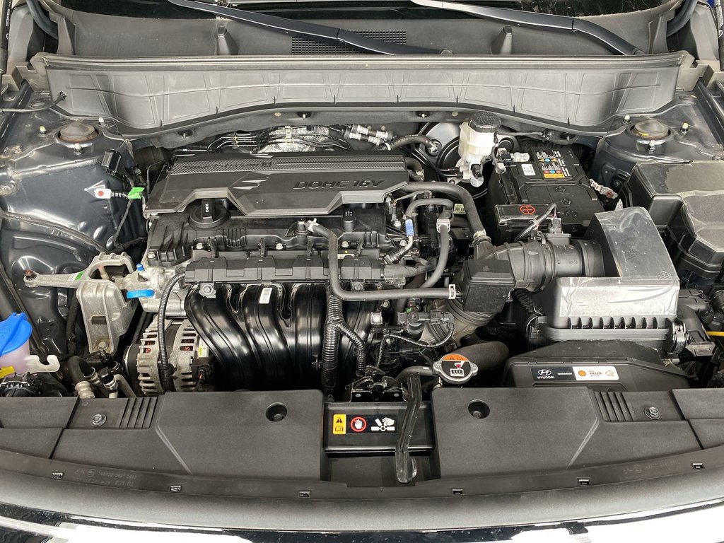 2025 Hyundai Kona Preferred | Htd Seats | Htd Wheel | AWD in Saint John, New Brunswick - 38 - w1024h768px