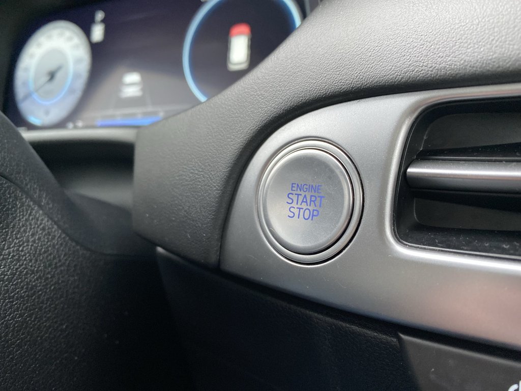 2023 Hyundai PALISADE in Antigonish, Nova Scotia - 16 - w1024h768px