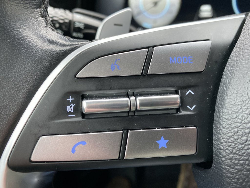 2023 Hyundai PALISADE in Antigonish, Nova Scotia - 17 - w1024h768px