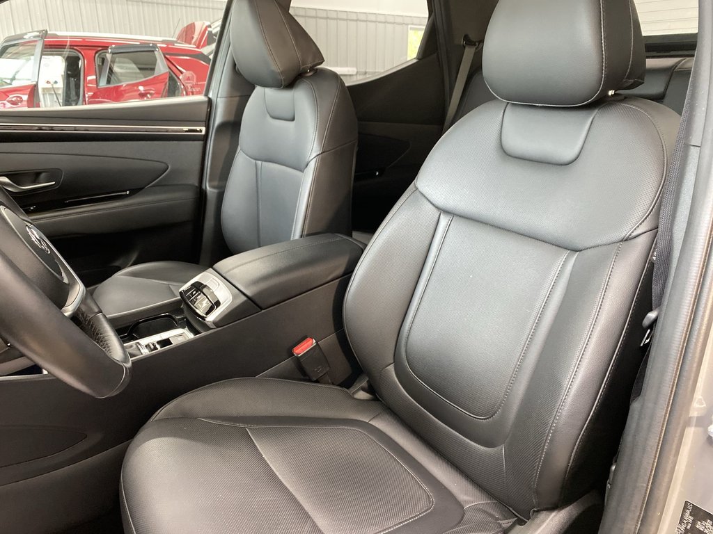 2024 Hyundai SANTA CRUZ TREND in Saint John, New Brunswick - 11 - w1024h768px