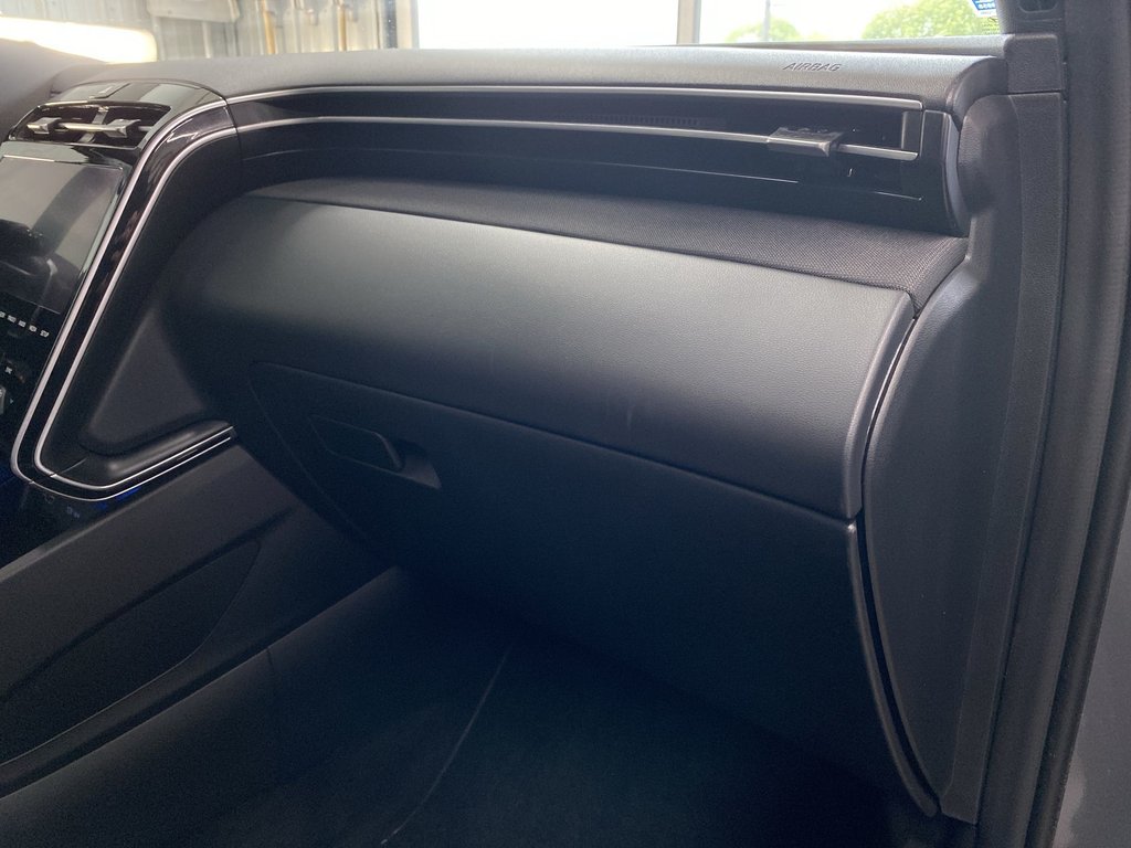 2024 Hyundai SANTA CRUZ TREND in Saint John, New Brunswick - 34 - w1024h768px