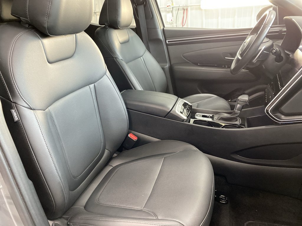 2024 Hyundai SANTA CRUZ TREND in Saint John, New Brunswick - 32 - w1024h768px