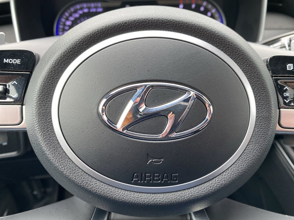 2024 Hyundai SANTA CRUZ TREND in Saint John, New Brunswick - 15 - w1024h768px