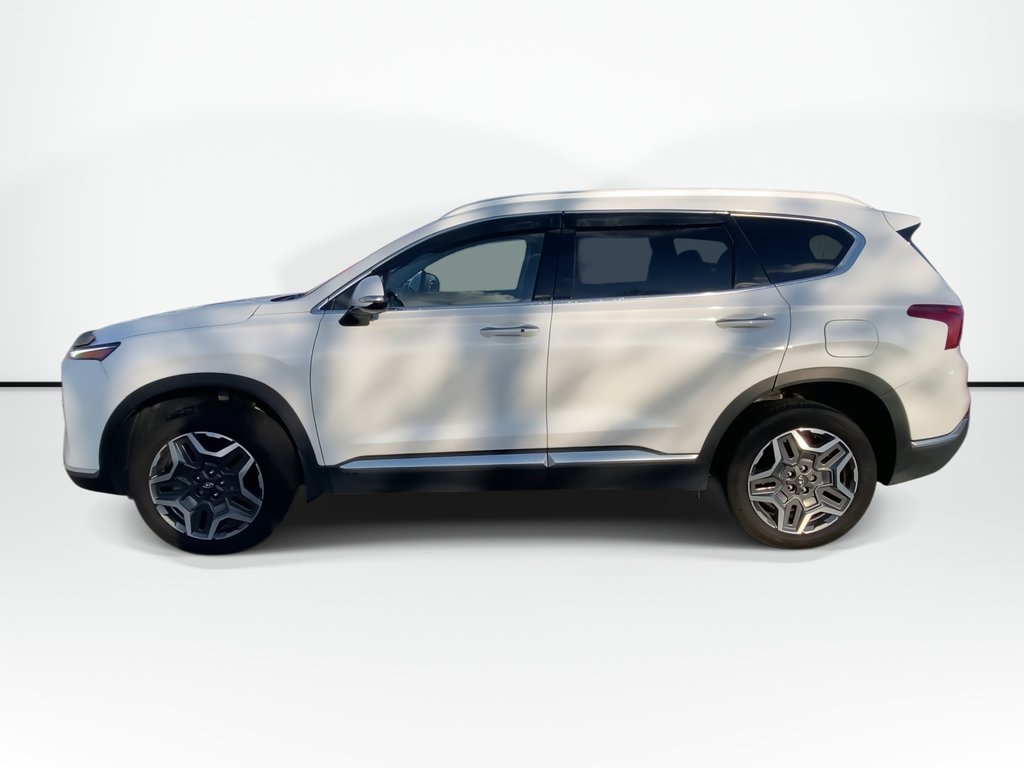 2023 Hyundai SANTA FE HYBRID LUXURY | Leather | Roof | 360°Cam | Warranty to 31 in Saint John, New Brunswick - 5 - w1024h768px