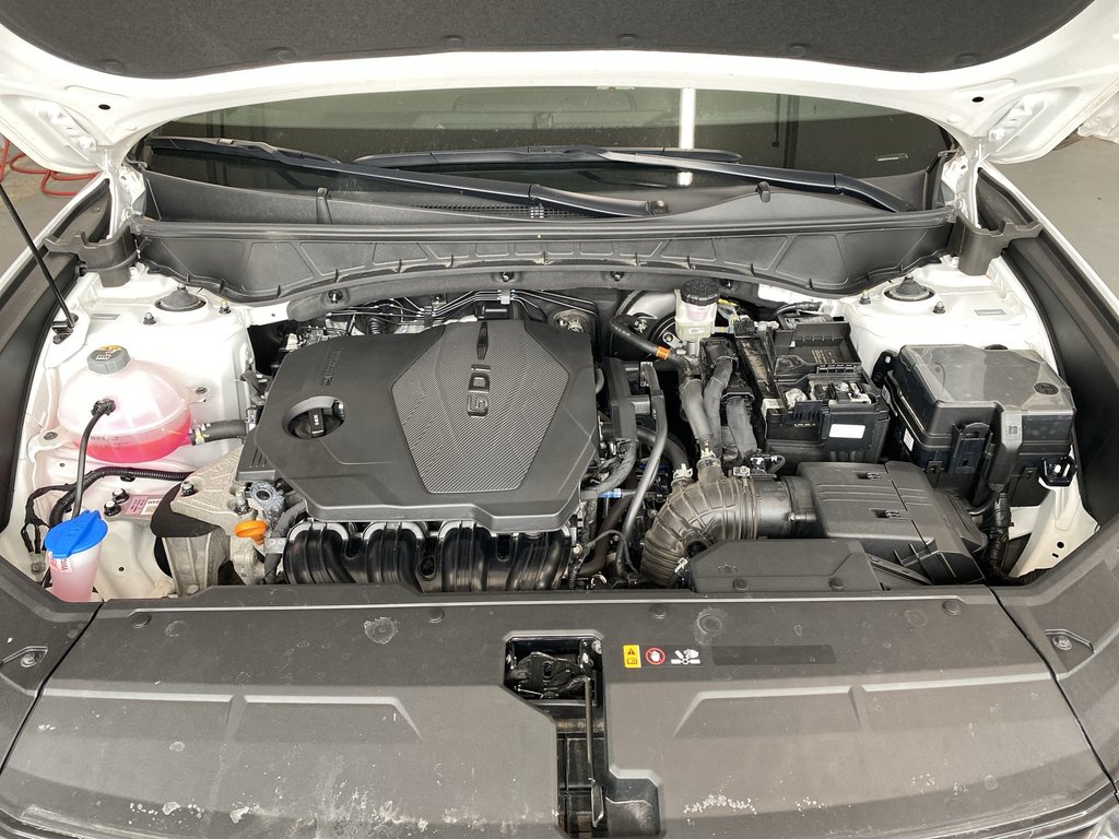 Hyundai Tucson Preferred | Htd Seats | Htd Wheel | AWD 2025 à Saint John, Nouveau-Brunswick - 37 - w1024h768px