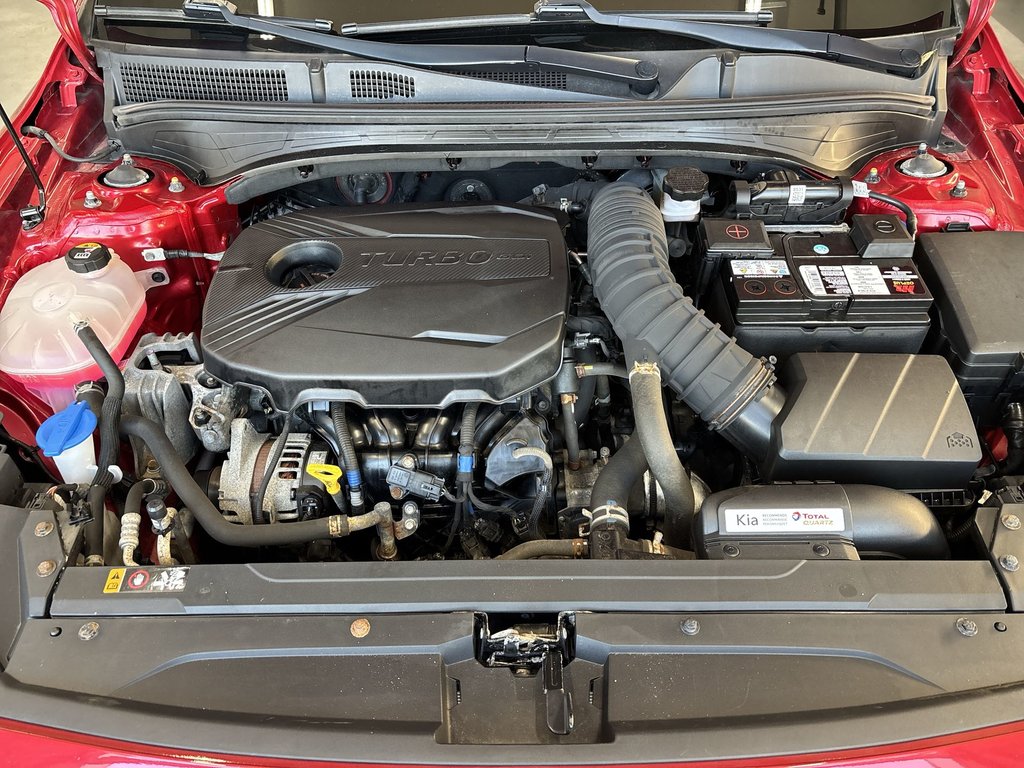 2022 Kia Forte5 GT Leather | Sunroof | Cam | Htd Seats&Wheel in Saint John, New Brunswick - 37 - w1024h768px