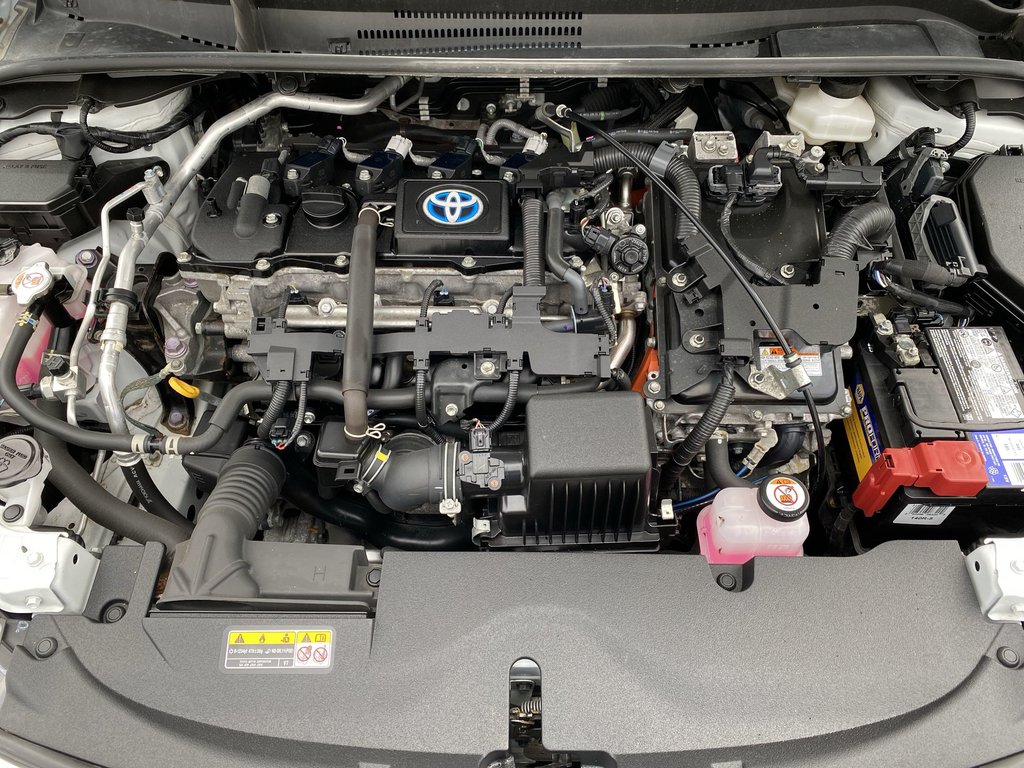 2023 Toyota Corolla in Antigonish, Nova Scotia - 36 - w1024h768px