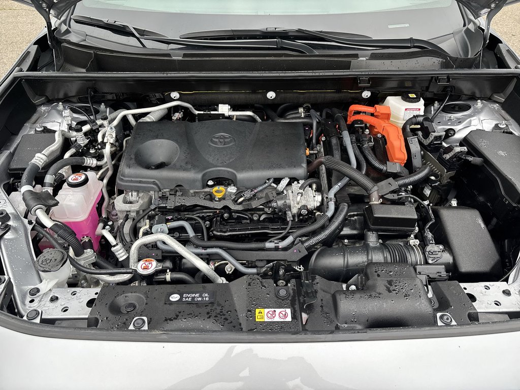 2025 Toyota RAV4 Plug-In Hybrid SE | Roof | Nav | Cam | USB | Bluetooth in Saint John, New Brunswick - 36 - w1024h768px