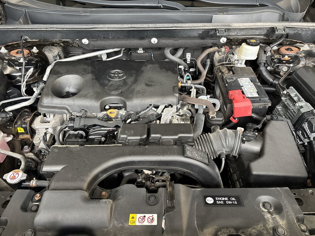 2021 Toyota RAV4 Trail | Leather | Roof | Heated&Cooled Seats | Cam in Saint John, New Brunswick - 36 - w1024h768px