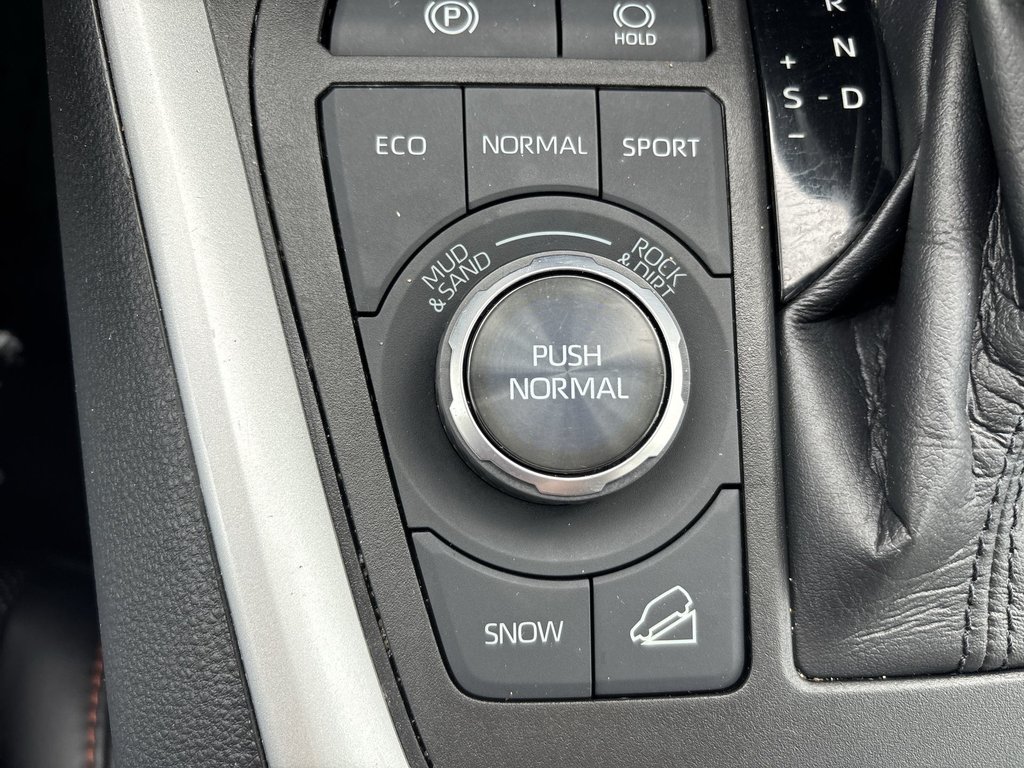 2021 Toyota RAV4 Trail | Leather | Roof | Heated&Cooled Seats | Cam in Saint John, New Brunswick - 19 - w1024h768px