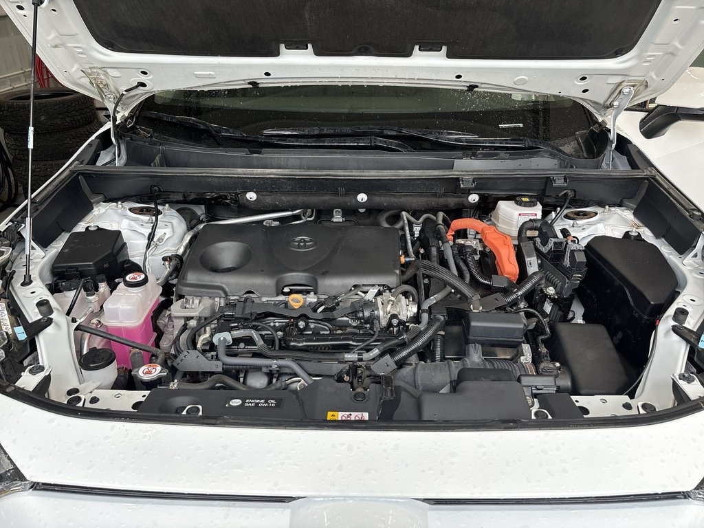 2024 Toyota RAV4 in Antigonish, Nova Scotia - 35 - w1024h768px