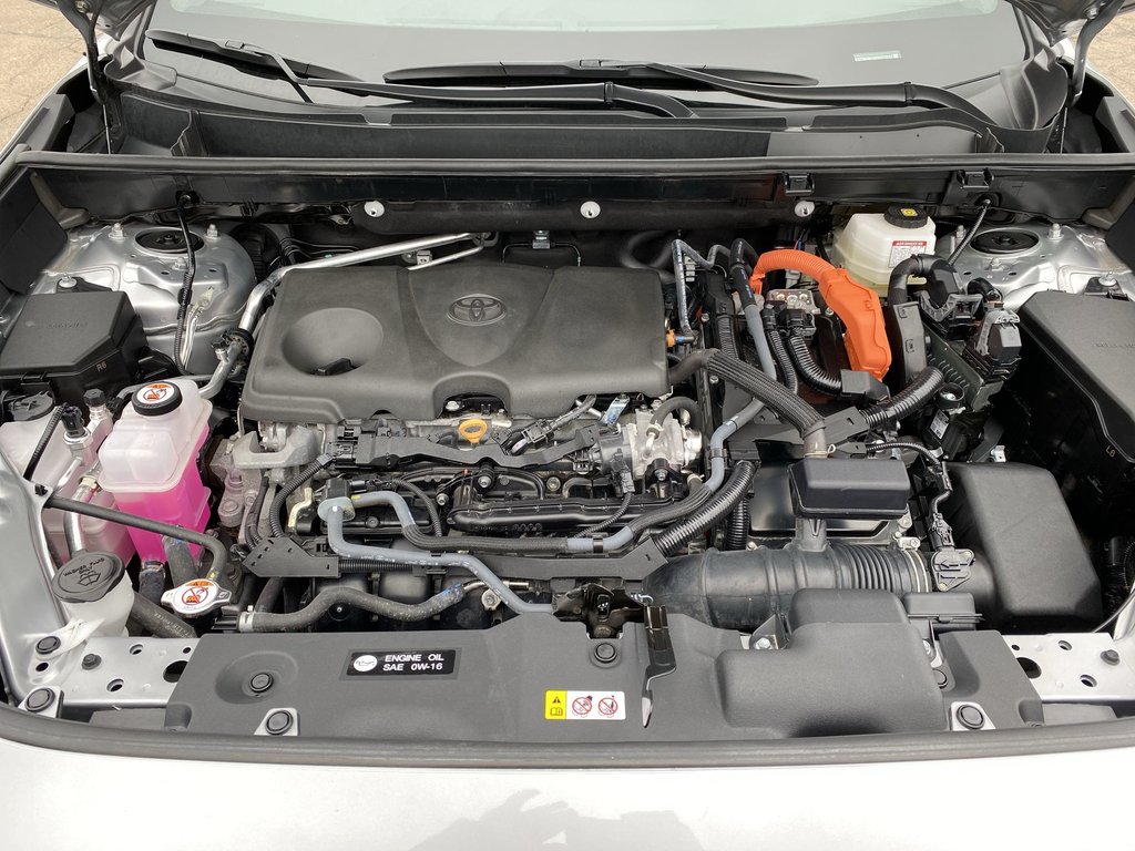 2025 Toyota RAV4 Hybrid LE | AWD | Htd Seats | Cam in Saint John, New Brunswick - 36 - w1024h768px