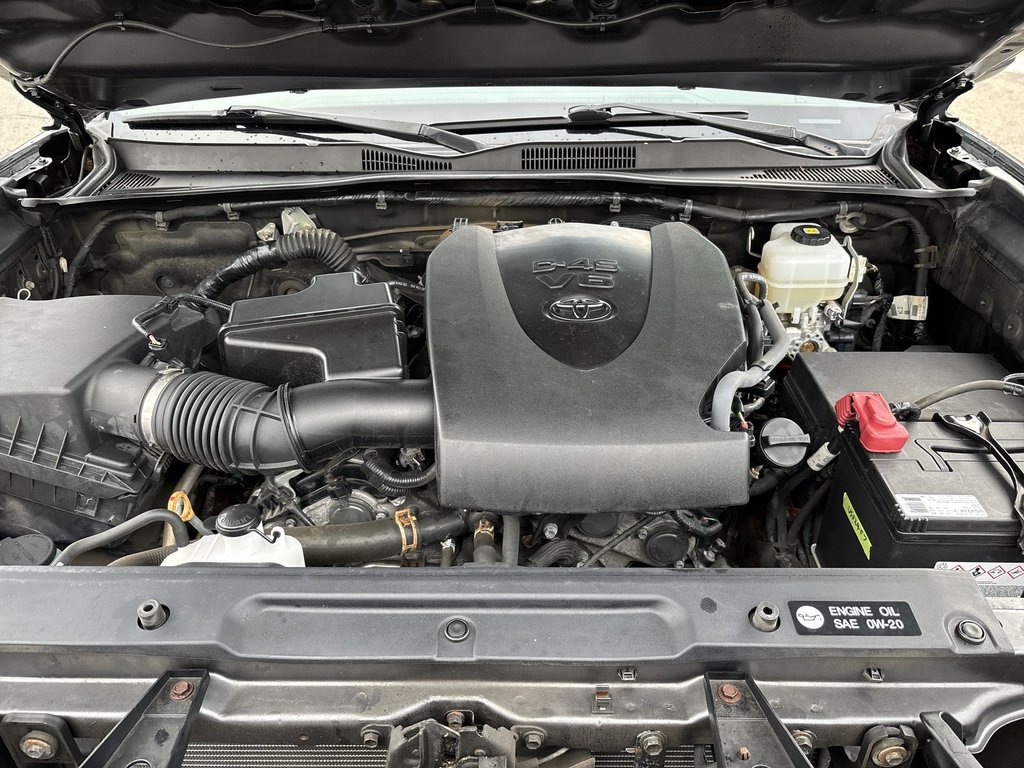 2018 Toyota Tacoma TRD Off Road | Cam | USB | Bluetooth | Cruise in Saint John, New Brunswick - 37 - w1024h768px