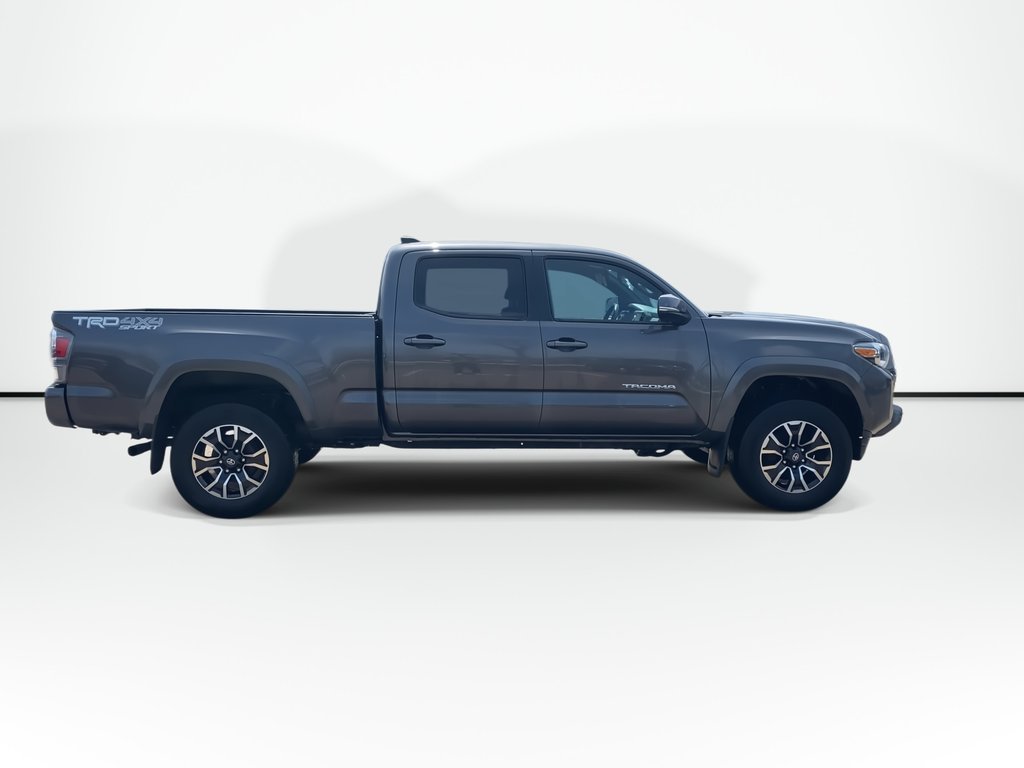 Toyota TACOMA SR5 | 4WD | Warranty Until May 2028 2023 à Saint John, Nouveau-Brunswick - 9 - w1024h768px