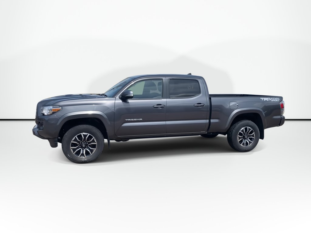 Toyota TACOMA SR5 | 4WD | Warranty Until May 2028 2023 à Saint John, Nouveau-Brunswick - 5 - w1024h768px