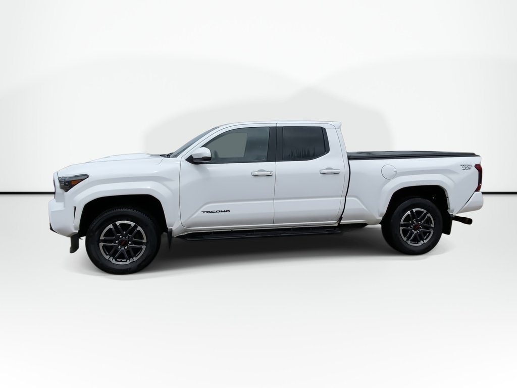 Toyota TACOMA SR5 | 4WD | Cam | Cruise 2025 à Saint John, Nouveau-Brunswick - 5 - w1024h768px